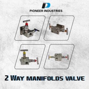 2 way Manifolds Valves manufacturer, supplier, and exporter in India